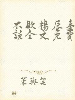 不败杨辰秦惜小说全文免费阅读