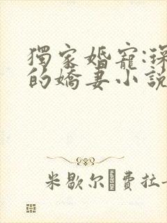 独家婚宠:琛少的娇妻小说