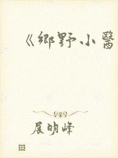 《乡野小医婿》