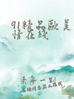 91精品欧美激情在线