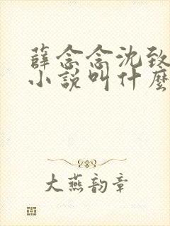 薛念念沈致宴的小说叫什么