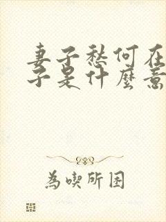 妻子愁何在的妻子是什么意思