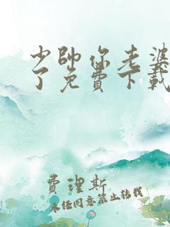 少帅你老婆又跑了免费下载全本