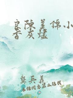 良陈美锦小说沉香灰烬