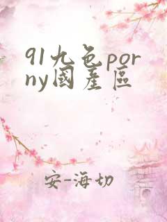 91九色porny国产区