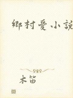 乡村爱小说