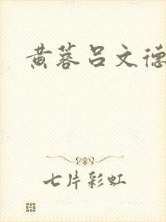 黄蓉吕文德h