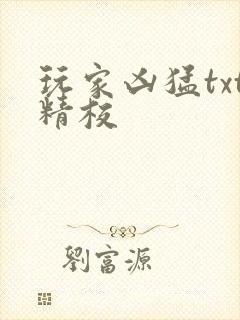 玩家凶猛txt精校