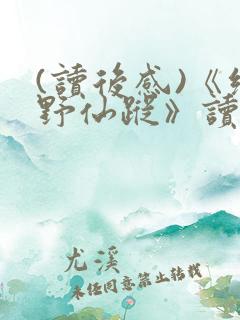 (读后感)《绿野仙踪》读后感范文500字