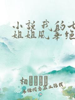 小说 我的七个姐姐风华绝代