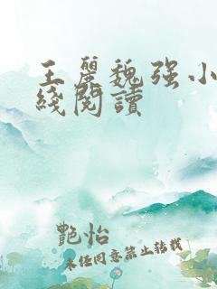 王丽魏强小说在线阅读