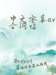 中文字幕av综合网站
