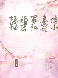 隐婚罪妻傅少的秘密私宠小说正版