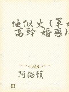 他似火 (军婚 高干 婚恋)全文在线阅读