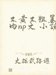 又黄又粗暴的纯肉np文 小说