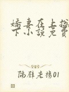 娇妻在上总裁在下小说免费阅读