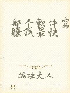 哪个软件写小说赚钱最快