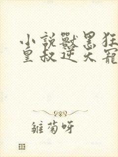 小说兽黑狂妃:皇叔逆天宠