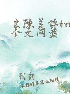 良陈美锦txt全文网盘
