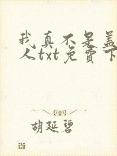 我真不是盖世高人txt免费下载