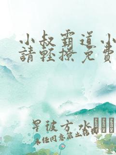 小叔霸道小叔 请轻撩免费漫画