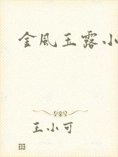 金风玉露小说版