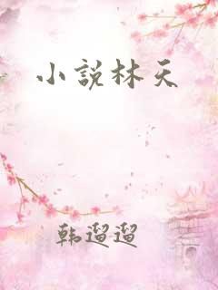 小说林天