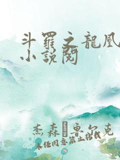 斗罗之龙凰传说小说阅
