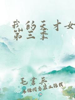 我的天才女友 第三季