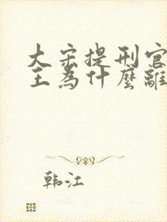 大宋提刑官捕头王为什么离开