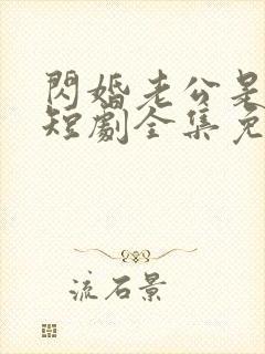 闪婚老公是总裁短剧全集免费观看