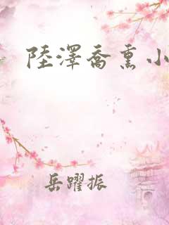 陆泽乔熏小说