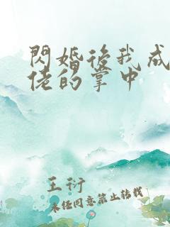 闪婚后我成了大佬的掌中