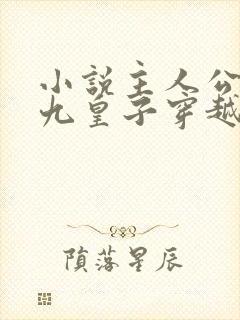 小说主人公夏天九皇子穿越小说