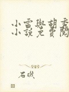 小雷与胡秀英的小说免费阅读全文
