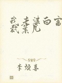 我老婆白富美总裁叶凡
