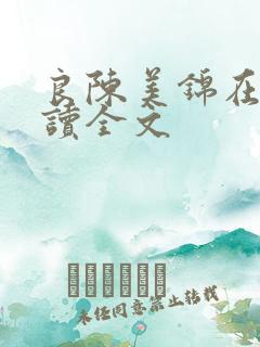 良陈美锦在线阅读全文