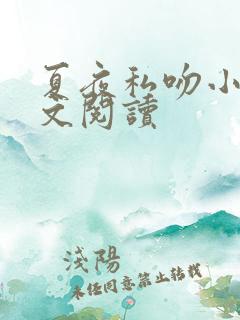 夏夜私吻小说全文阅读