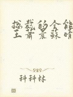 总裁的全能型兵王萧晨苏晴