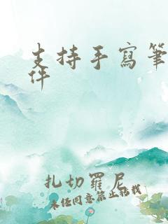 支持手写笔记软件