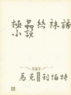 极品丝袜诱惑肉小说