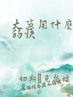 大葱用什么肥长的快