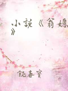 小说《翁媳乱情》