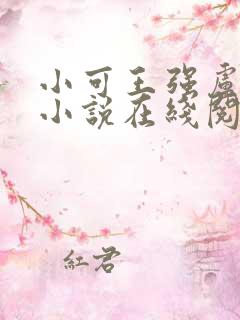 小可王强卢叔的小说在线阅读全文