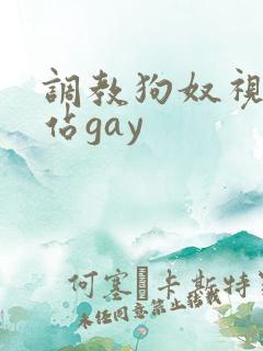调教狗奴视频网站gay