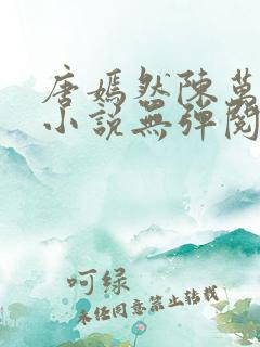唐嫣然陈万里的小说无弹阅读