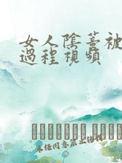 女人阴蒂被舔全过程视频