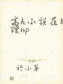 高h小说在线阅读np