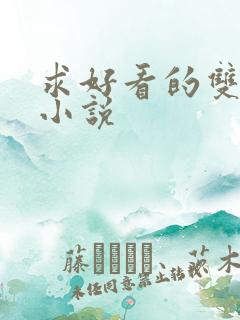 求好看的双男主小说