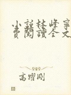 小说林峰宁欣免费阅读全文无弹窗